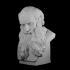 Head of a Bearded Old Man image