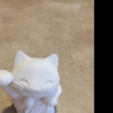 Picture of print of fortune_cat