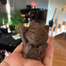 Picture of print of fortune_cat