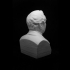 Unknown Bust (Photosculpture) at The Collection of Gérard Lévy image
