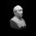 Unknown Bust (Photosculpture) at The Collection of Gérard Lévy image