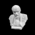 Bust of Lenin in St Petersburg, Russia image
