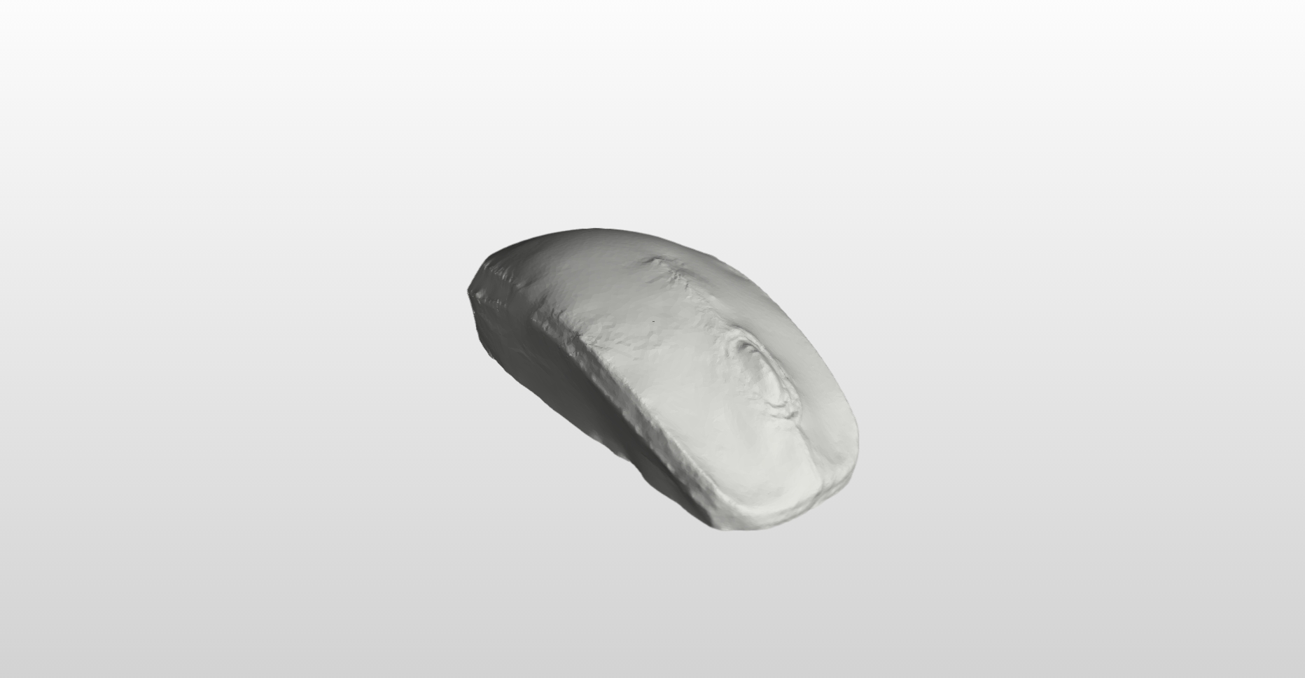 Autodesk Remake - Mouse