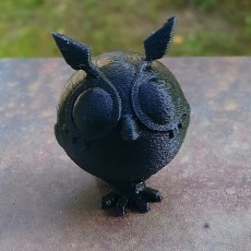 Picture of print of Hoothoot