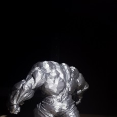Picture of print of Low Poly Hulk