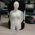 3D body-scan (2015) print image