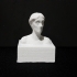 Virginia Woolf bust image