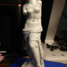 Picture of print of Venus de Milo (Aphrodite of Milos) This print has been uploaded by Fromps