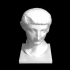 Portrait of Drusus (son of Tiberius) image