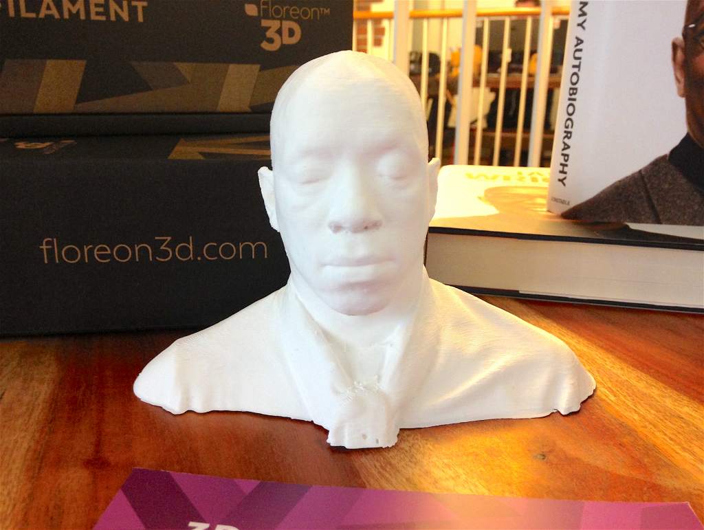 Scan of Ian Wright's Bust - Einscan