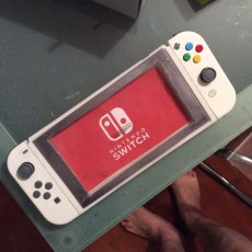 Picture of print of Nintendo Switch replica