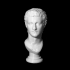 Portrait Head of Caligula image