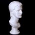 Portrait Head of Caligula image