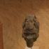 Stone heads image