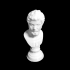 Portrait of Septimius Severus image