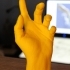 Hand Anatomy image