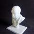 Bust of a Boy image