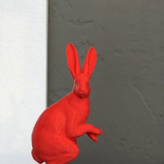 Picture of print of Hare