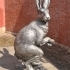 Hare image