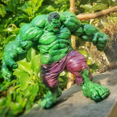 Picture of print of Hulk