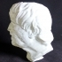 Bust of 'Pseudo-Seneca' image