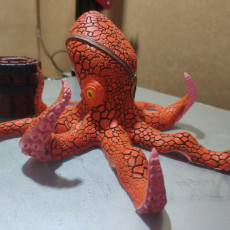 Picture of print of Octopus