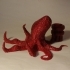 Octopus image