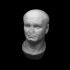 Head from a marble statue of Vespasian image