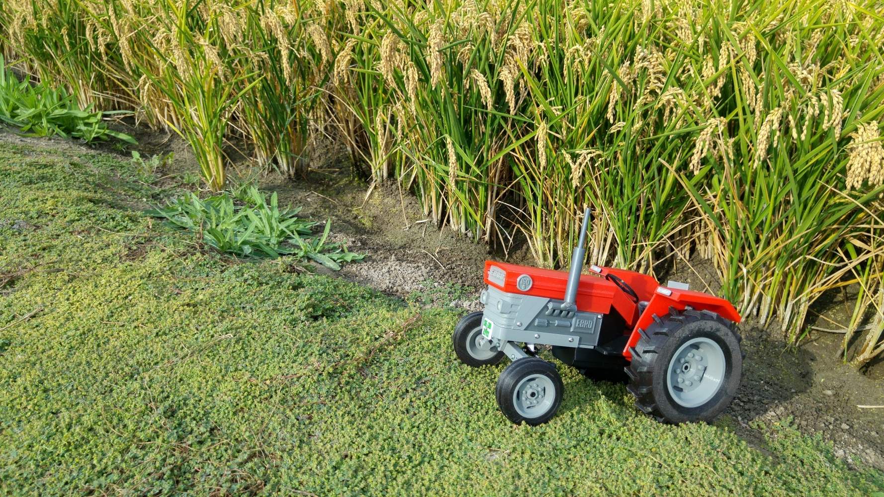 1000x1000 openrc tractor release emerging 2