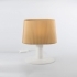 Z-Lamp Lampshade for Table Lamp image