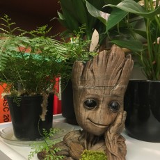 Picture of print of Baby Groot flower pot: "Gardens" of the Galaxy 2
