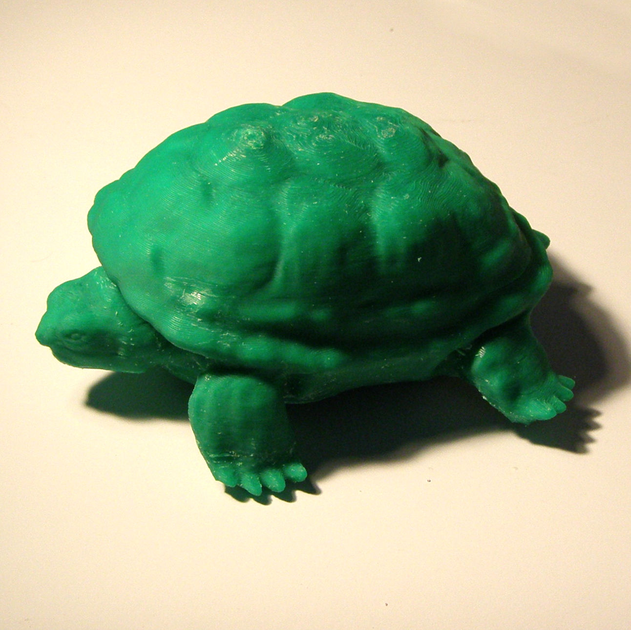 Turtle 3D