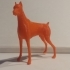 Dog 3D image