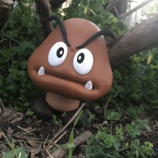 Picture of print of GOOMBA This print has been uploaded by Miller