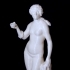 Venus Met Schelp image