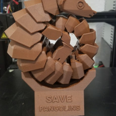 Picture of print of Save pangolins