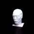 Head of a Negro Man image