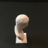 Marble bust of the youth image