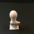 Marble bust of the youth image