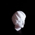 Head of a noble roman woman image