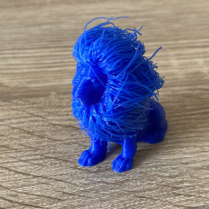 Picture of print of Hairy Lion This print has been uploaded by Huru