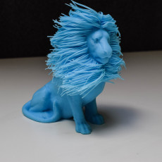 Picture of print of Hairy Lion