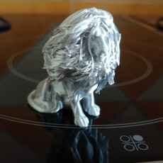 Picture of print of Hairy Lion This print has been uploaded by KA