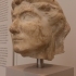 Portrait Head from a Relief image