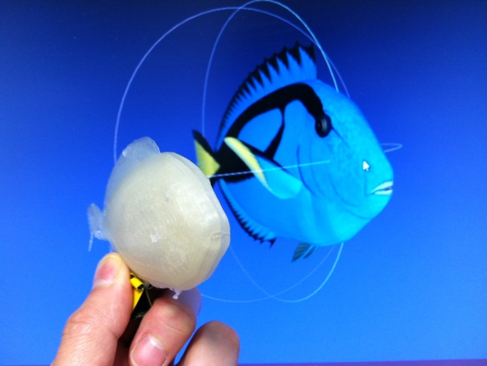 Print this Fish: 3D Printing Challenge