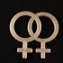 Marriage Symbols - Interlocking image
