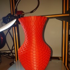 Picture of print of Watertight Spiral Vase