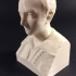Bust of Ferenc Kolcsey image