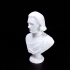 Bust of Franz Liszt image