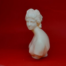 Picture of print of Bust of the Medici Venus